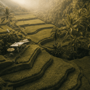 bali escape